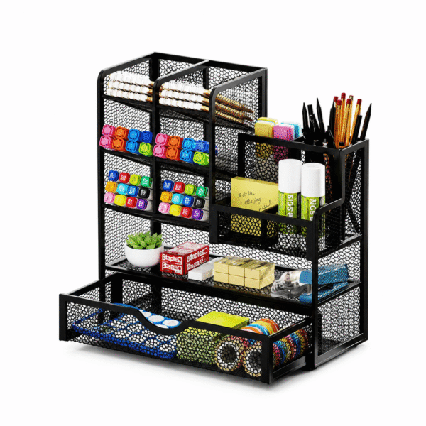 TraVisions Multi-Compartment Desk Organizer